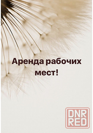 Сниму кабинет в аренду Донецк - изображение 1
