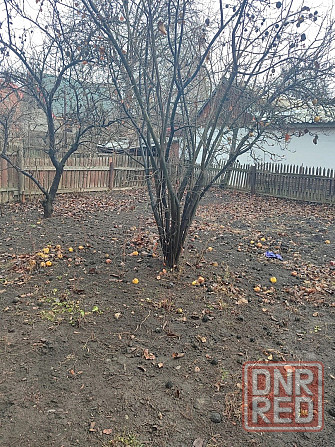 Дом посёлок Ленина ориентир бывший роддом Макеевка - изображение 7