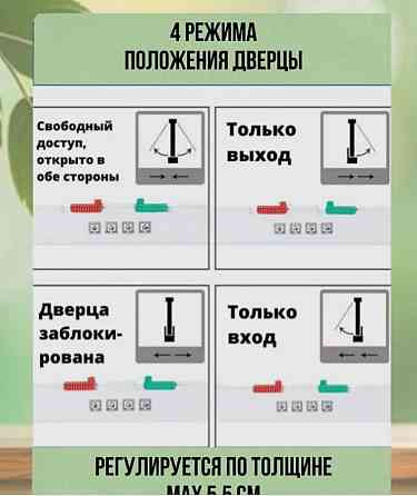 Дверца для кошки (для животных) Донецк