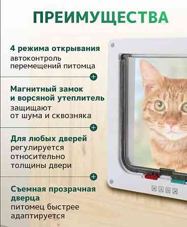 Дверца для кошки (для животных) 19х20 см Донецк