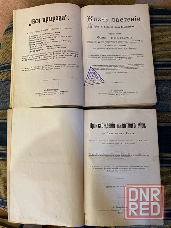 Происхождение животного мира , жизнь растений Донецк - изображение 2