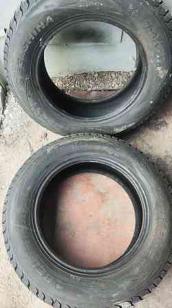 Шины зимние 195/65R15 Донецк