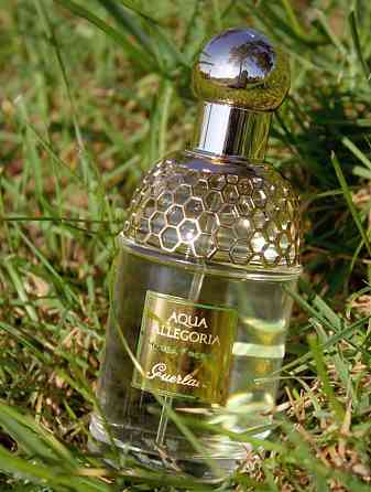 Aqua Allegoria - Herba Fresca Макеевка