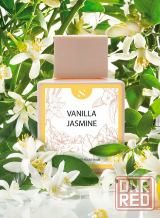 Sergio Nero - Vanilla Jasmine Макеевка - изображение 1