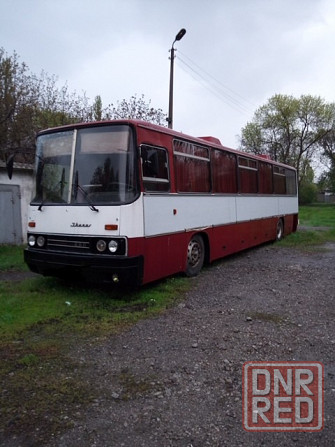 Автобус Икарус 250 Донецк - изображение 3