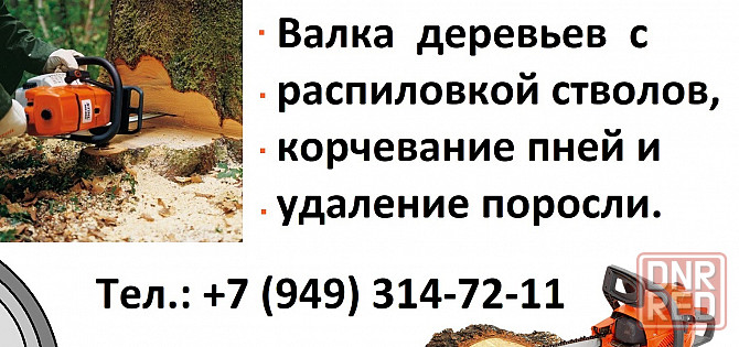 Валка деревьев. Донецк - изображение 1
