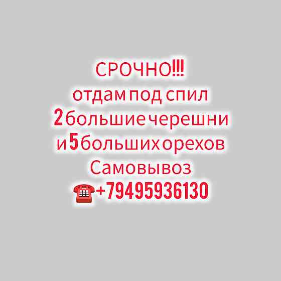Спил деревьеа Макеевка