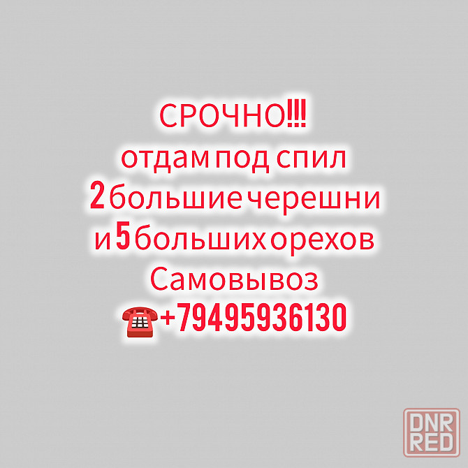 Спил деревьеа Макеевка - изображение 1