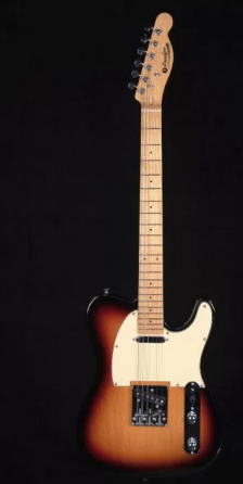 Электрогитара Prodipe jmftc90 Донецк