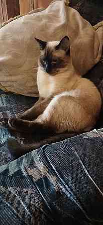 Срочно! Акция! Макеевка