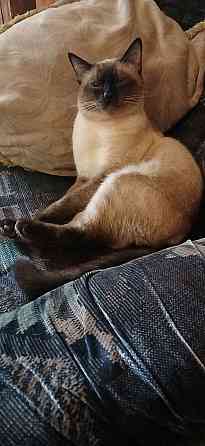 Срочно! Акция! Макеевка