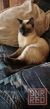 Срочно! Акция! Макеевка - изображение 2