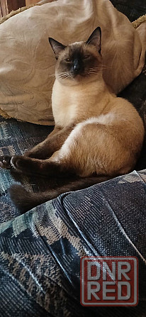 Срочно! Акция! Макеевка - изображение 9