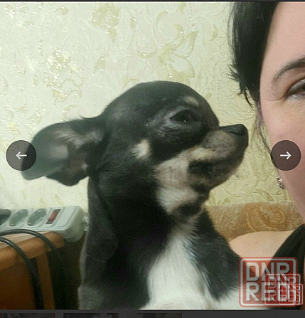 Мини мальчик приглашает дам. Донецк - изображение 3