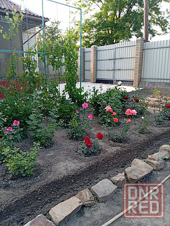 Продам дом в городе Луганск поселок Тепличное Луганск - изображение 3
