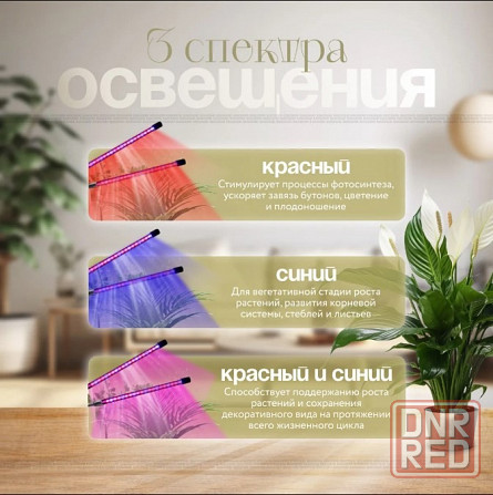 Фитолампа для растений (цветов) полного спектра (5 ламп) Донецк - изображение 8