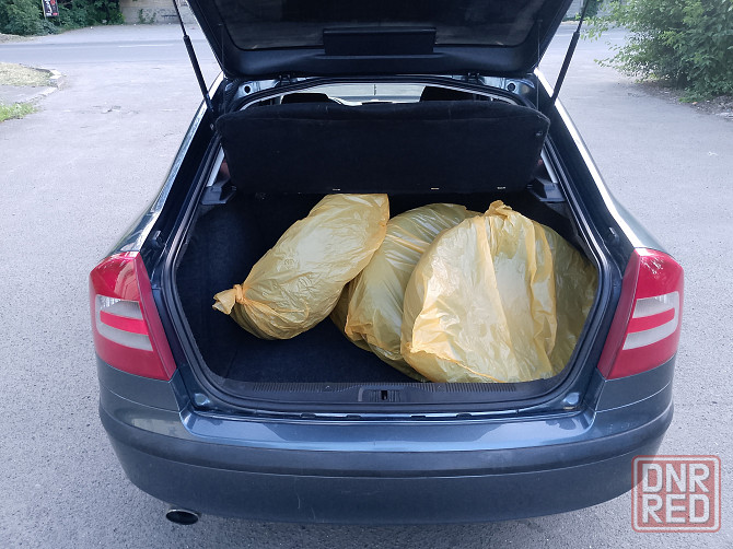 Skoda Octavia Донецк - изображение 8