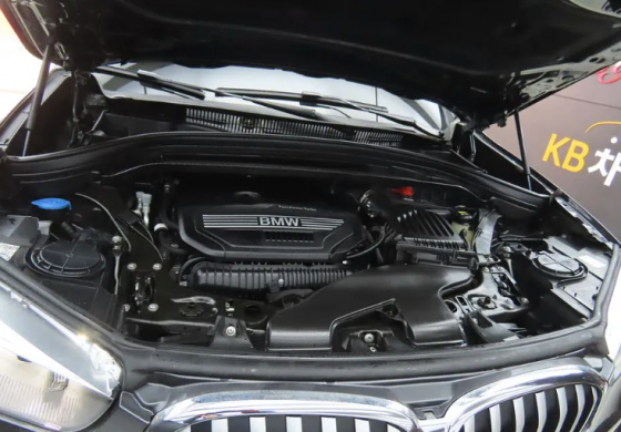 BMW X1 (F49) Xdrive 20i xLine 2.0 2022 Донецк