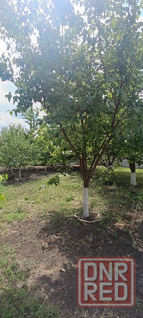 Продам Дом 350 м² в Элитном посёлке, Пролетарский р-н. Все коммуникации. Газ Ремонт. ГосАкт 11 соток Донецк - изображение 11
