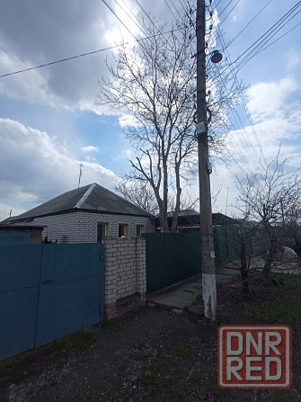 Удаления аварийных деревьев Луганск Луганск - изображение 4