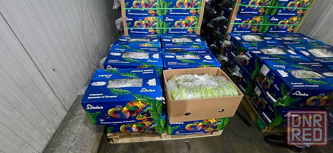 Продажа базы по хранению и дозреванию фруктов и овощей г. Горловка Горловка - изображение 5