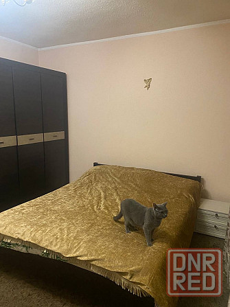 Дом 165 квадратов, на участке 6 сот. Донецк - изображение 12