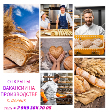 Тестовод Донецк