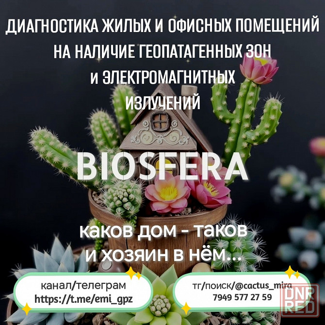 Диагностика Гпз/Эми Горловка - изображение 2