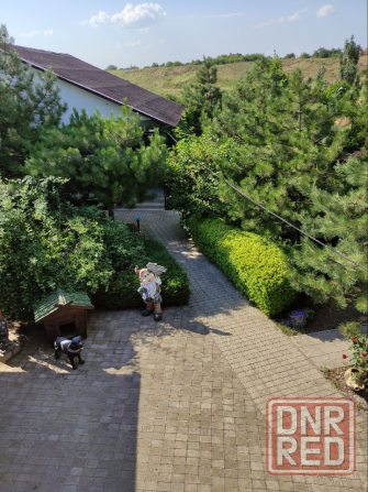 Продам готовый действующий бизнес пгт.Седово! Новоазовск - изображение 1