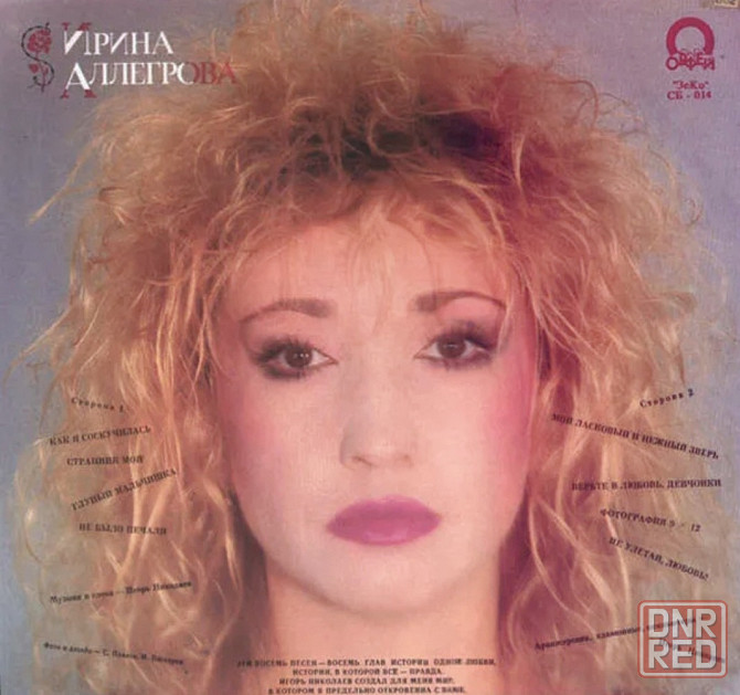 Виниловая пластинка LP "Ирина Аллегрова"- "Странник Мой" Донецк - изображение 2