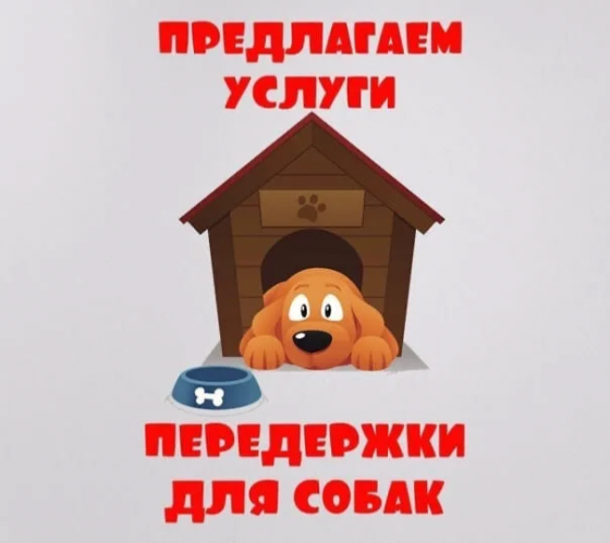 Передержка собак Донецк