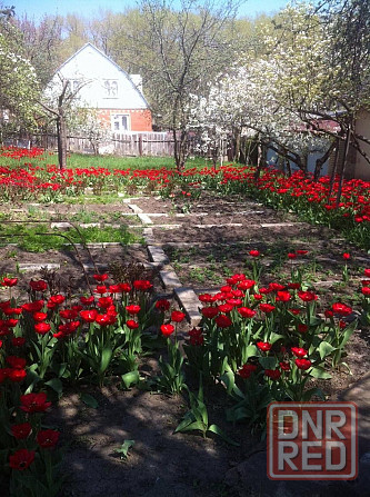 Продажа дома. Мариупольская развилка Донецк - изображение 11