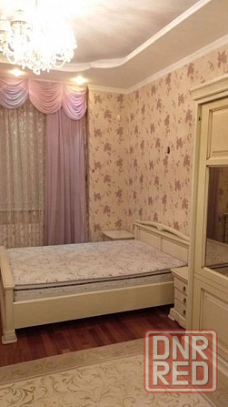 роза люксенбург долгосрочно Донецк - изображение 6