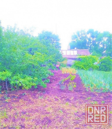 3-х комн. дом и участок земли в центре села Бугас, Волновахский район. Донецк - изображение 4