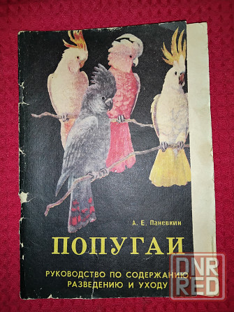 Попугаи , руководство по содержанию, разведению и уходу . Макеевка - изображение 2