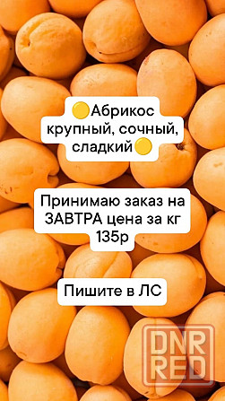 Продам абрикос Донецк - изображение 1
