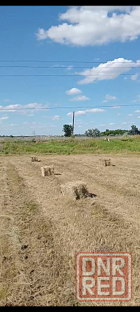 Продам сено луговое. Луганск - изображение 1