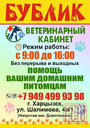 Помощь животным Харцызск - изображение 1