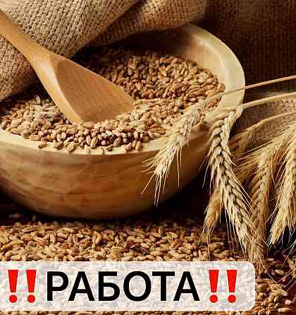Силосник Донецк