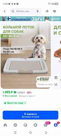 Лоток для щенков и собак Донецк