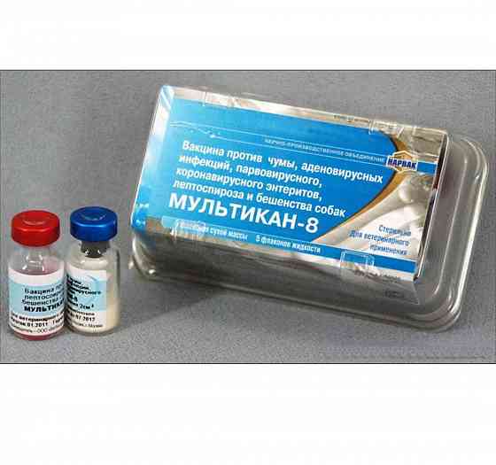 Мультикан 8 Харцызск