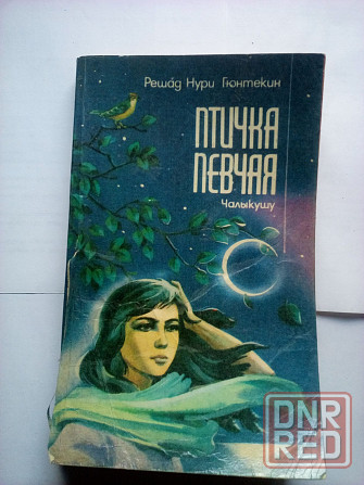 книга Решад Нури Гюнтекин "Птичка певчая" Макеевка - изображение 1