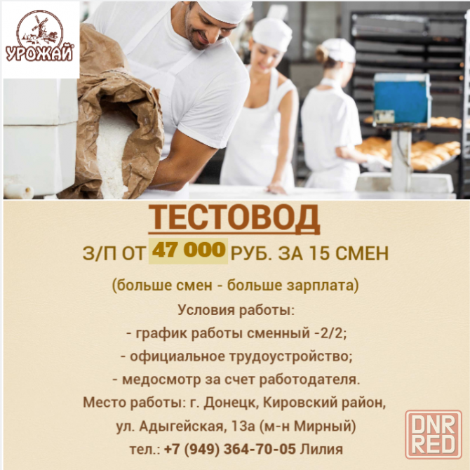 Тестовод Донецк - изображение 1