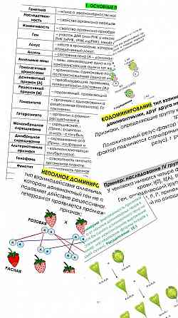 Репетитор по химии и биологии Макеевка