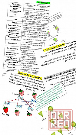 Репетитор по химии и биологии Макеевка - изображение 2