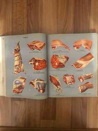 Книга о вкусной и здоровой пище 1965 год. Донецк