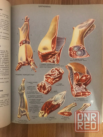 Книга о вкусной и здоровой пище 1965 год. Донецк - изображение 5