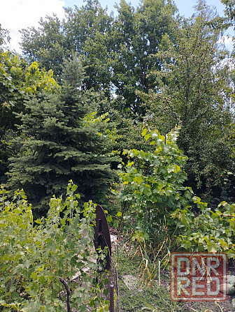 дом 5 ком. в петровском р-не, петровский водосбыт Донецк - изображение 9