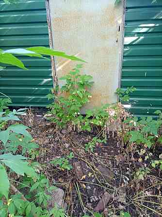 9 соток в центре Донецка с домом в собственности. Донецк