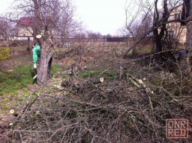Уборка и приведение в порядок территории Донецк - изображение 3